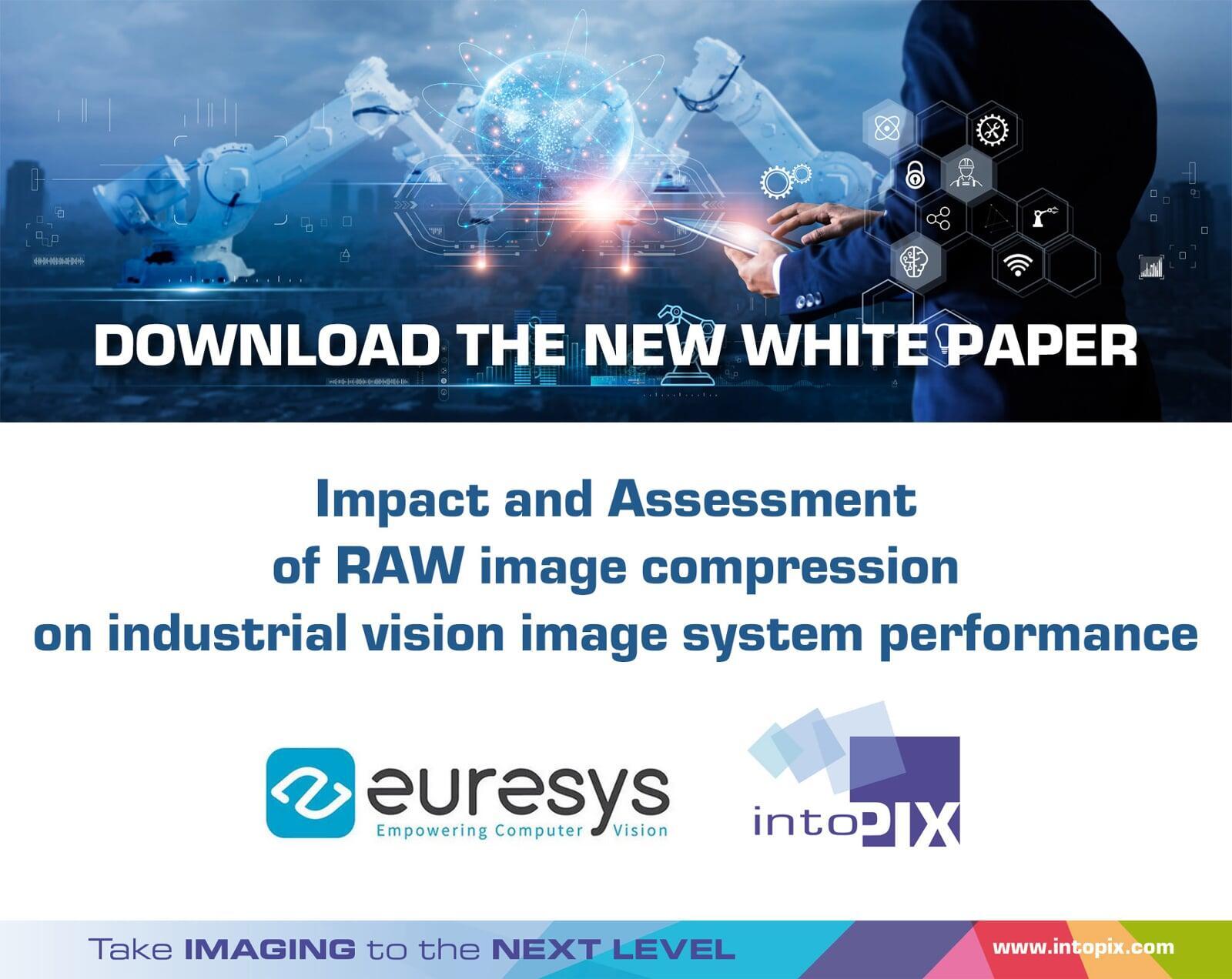 Evaluating The Impact Of RAW Image Compression On Industrial Vision Performance